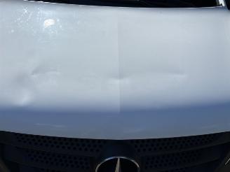Mercedes Vito 116 cdi Lang picture 14