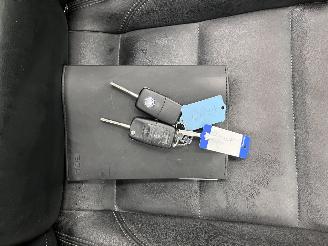 Volkswagen Eos 2.0 T-FSI DSG Navi Clima picture 14