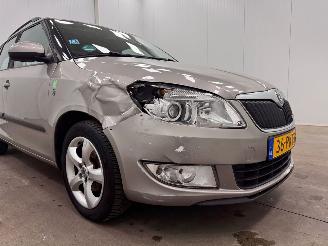Skoda Fabia Combi 1.2 TDI Greenline Clima picture 17