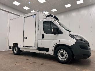 krockskadad bil bedrijf Fiat Ducato 2.2 MultiJet 140pk Carrier Koelwagen Airco 2023/7