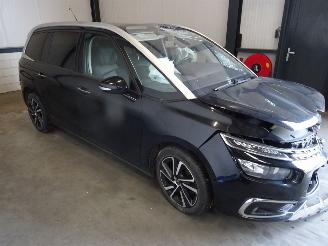  Citroën C4-picasso 2.0 HDI 2019/1