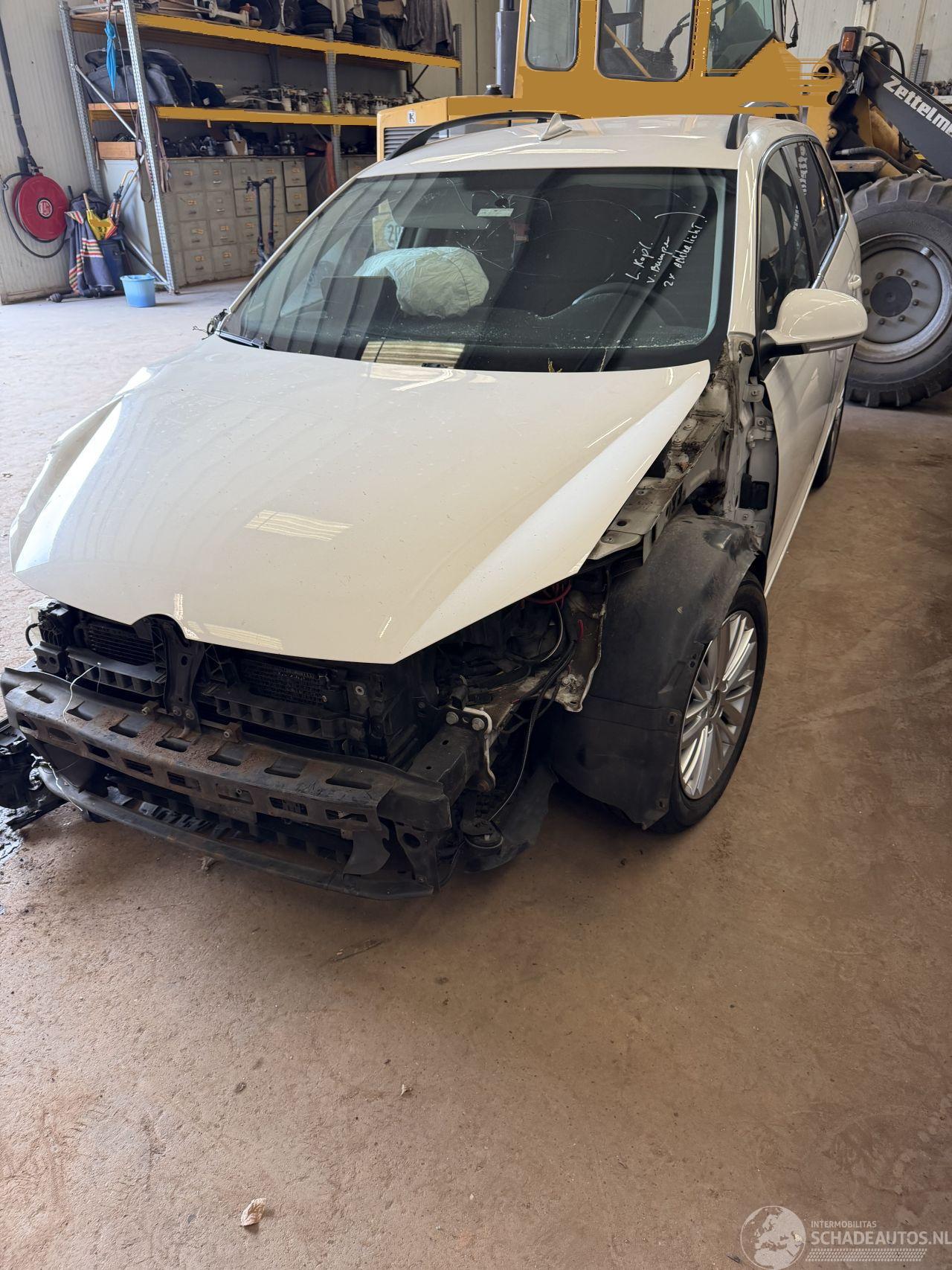 Volkswagen Golf Variant 1.6 TDI dsg