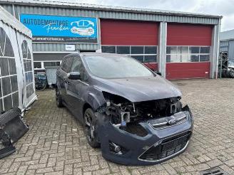 Sloopauto Ford Grand C-Max Grand C-Max (DXA), MPV, 2010 / 2019 1.6 SCTi 16V 2011/7