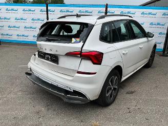 Skoda Kamiq 1.0 TSi Ambition picture 3