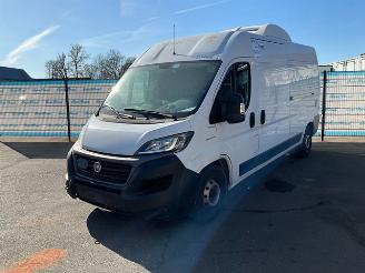 Vrakbiler auto Fiat Ducato 2.3 2.3 160 Koel-vrieswagen 2021/7