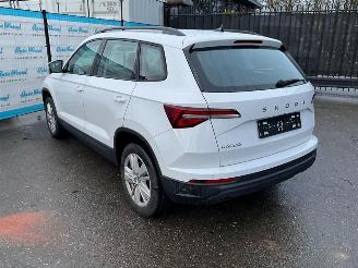 Skoda Karoq 1.5 TSi (110 KW) Automaat + Dig. Cockpit + NAV picture 2