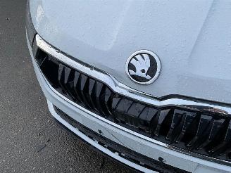 Skoda Karoq 1.5 TSi (110 KW) Automaat + Dig. Cockpit + NAV picture 16