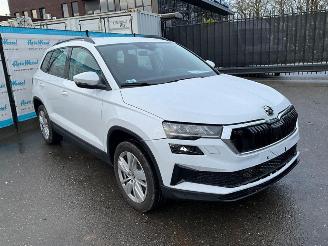 Skoda Karoq 1.5 TSi (110 KW) Automaat + Dig. Cockpit + NAV picture 3