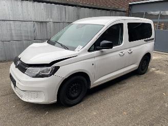 Volkswagen Caddy Life 2.0 TDi (90kW) Cool & Sound-pakket 2023/9