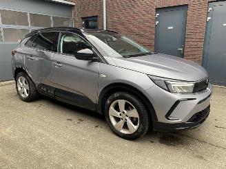 Opel Grandland X 1.2 Turbo (96kW) GS Line - Zijschade links- en rechtsachter - Schade linksvoor - Motor ok! picture 2