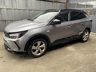 skadebil auto Opel Grandland X 1.2 Turbo (96kW) GS Line - Zijschade links- en rechtsachter - Schade linksvoor - Motor ok! 2023/6