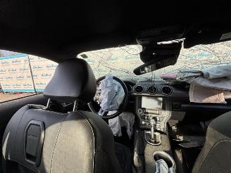 Ford Mustang GT Fastback 5.0 picture 12