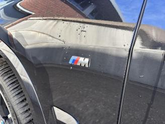 BMW X5 30 d xDrive M Sport Pano Head up picture 44