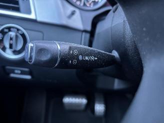 Mercedes ML 250 BlueTEC AMG Panoramadak picture 18