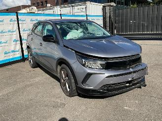 Opel Grandland (X) 1.2 Turbo (96kW) GS picture 2