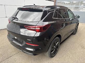 Opel Grandland X GS Line Plug-in-Hybrid picture 3