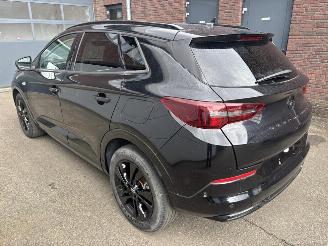 Opel Grandland X GS Line Plug-in-Hybrid picture 4