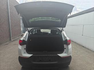 Opel Grandland X Business Edition Plug-in-Hybrid 225 PK lichte schade picture 7