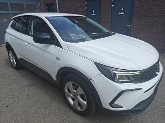 Opel Grandland X Business Edition Plug-in-Hybrid 225 PK lichte schade picture 4