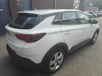 Opel Grandland X Business Edition Plug-in-Hybrid 225 PK lichte schade picture 3