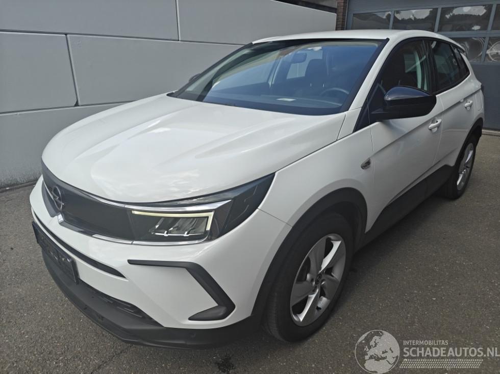 Opel Grandland X Business Edition Plug-in-Hybrid 225 PK lichte schade