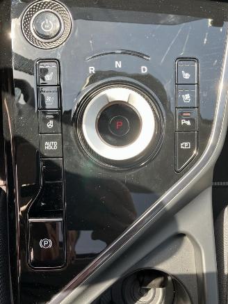 Kia e-Niro EV Light 64.8 kWh SOH 100% picture 22