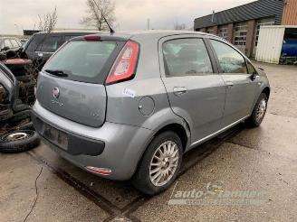 Fiat Punto Punto Evo (199), Hatchback, 2009 / 2012 1.4 picture 3