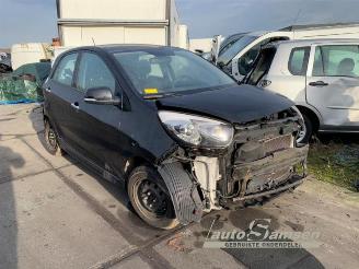 Salvage car Kia Picanto Picanto (TA), Hatchback, 2011 / 2017 1.2 16V 2014/5