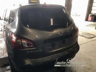 Nissan Qashqai+2 Qashqai +2 (JJ10E), SUV, 2007 / 2014 2.0 16V picture 7