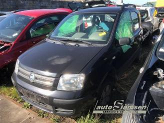 Dezmembrări autoturisme Fiat Panda Panda (169), Hatchback, 2003 / 2013 1.2 Fire 2004/2