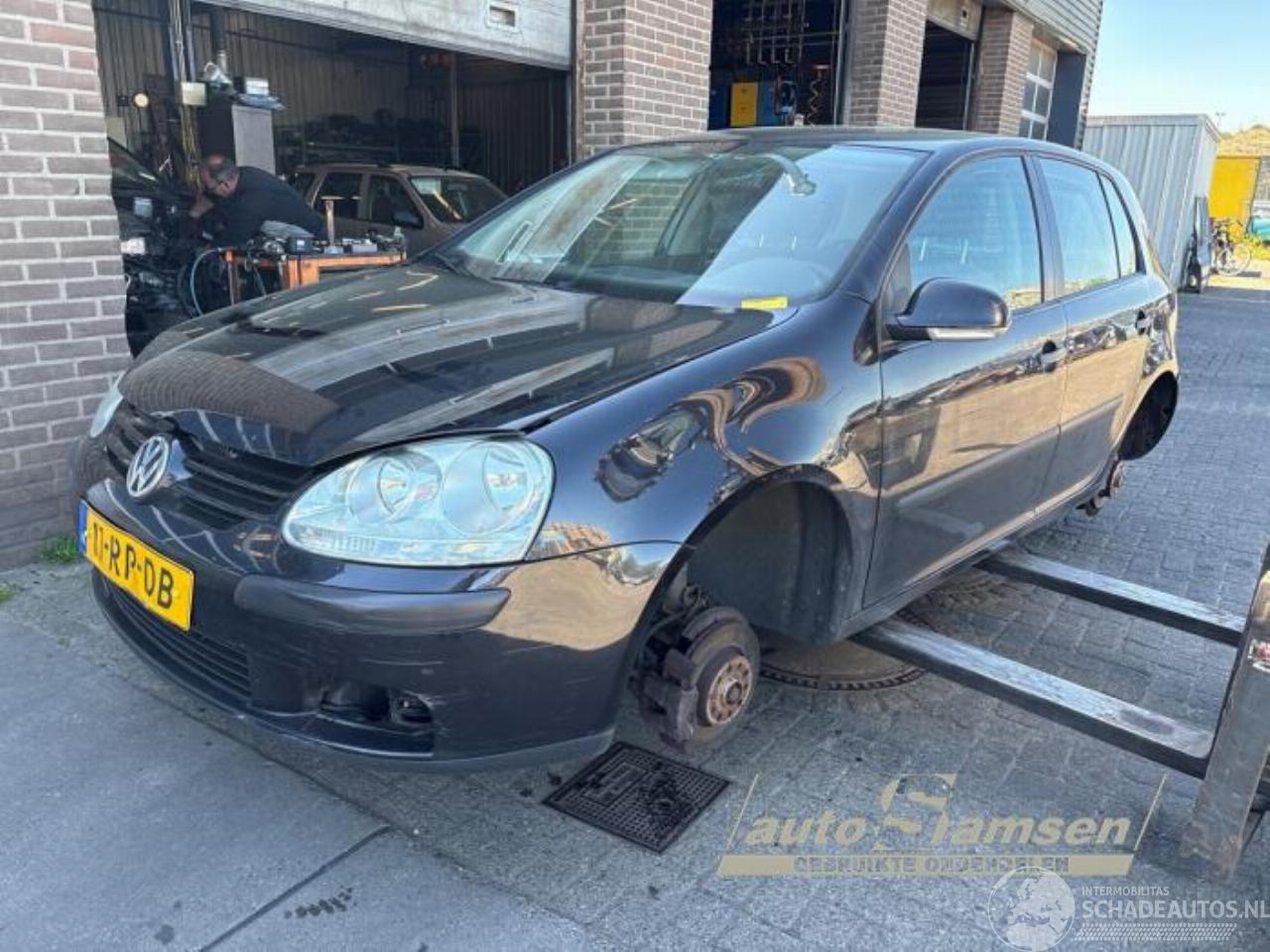 Volkswagen Golf Golf V (1K1), Hatchback, 2003 / 2010 1.6 FSI 16V