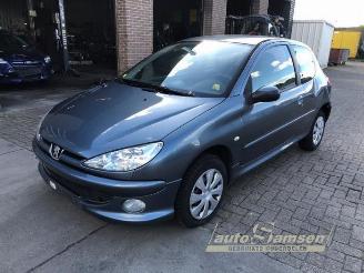 Uttjänta bilar auto Peugeot 206 206 (2A/C/H/J/S), Hatchback, 1998 / 2012 1.4 XR,XS,XT,Gentry 2005/12