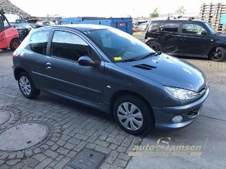 Peugeot 206 206 (2A/C/H/J/S), Hatchback, 1998 / 2012 1.4 XR,XS,XT,Gentry picture 3