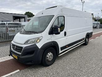 krockskadad bil bedrijf Fiat Ducato 2.3 MJ 110KW MAXI L4H2  KLIMA  THERMOKING 2019/10