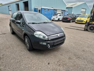 Fiat Punto Punto Evo (199), Hatchback, 2009 / 2012 1.3 JTD Multijet 85 16V Euro 5 picture 3