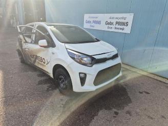 Sloopauto Kia Picanto Picanto (JA), Hatchback, 2017 1.0 DPi 12V 2024/1