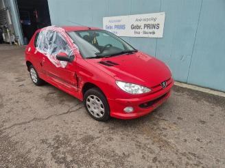  Peugeot 206 206 (2A/C/H/J/S), Hatchback, 1998 / 2012 1.4 XR,XS,XT,Gentry 2007/7