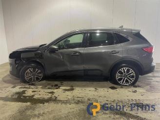Ford Kuga Kuga III (DFK), SUV, 2019 2.5 PHEV 16V picture 6