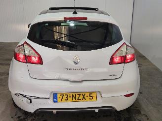 Renault Mégane 1.6 16V Hatchback 4Dr Benzine 1.598cc 81kW (110pk) FWD picture 8