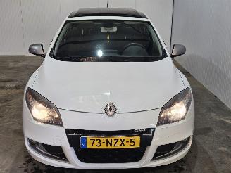 Renault Mégane 1.6 16V Hatchback 4Dr Benzine 1.598cc 81kW (110pk) FWD picture 4