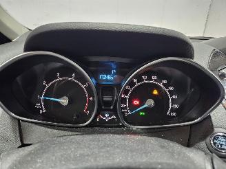 Ford B-Max 1.0 EcoBoost 12V 100 MPV  Benzine 999cc 74kW (101pk) FWD picture 14