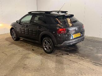 Citroën C4 cactus 1.2 PureTech 110 12V Hatchback 4Dr Benzine 1.199cc 81kW (110pk) FWD picture 10