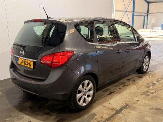  Opel Meriva 1.4 16V Ecotec MPV  Benzine 1.398cc 74kW (101pk) FWD 2012/7