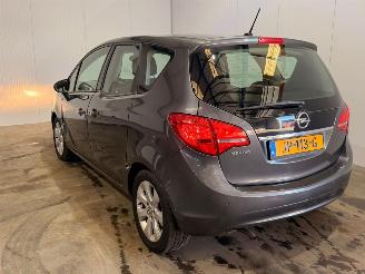 Opel Meriva 1.4 16V Ecotec MPV  Benzine 1.398cc 74kW (101pk) FWD picture 7