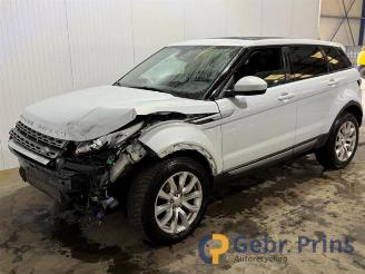 Land Rover Range Rover Evoque Range Rover Evoque (LVJ/LVS), SUV, 2011 / 2019 2.2 TD4 16V picture 3