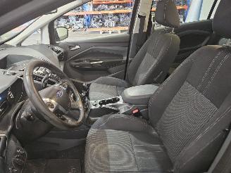 Ford Grand C-Max 1.0 Ti-VCT EcoBoost 12V 125 MPV  Benzine 998cc 92kW (125pk) FWD picture 15