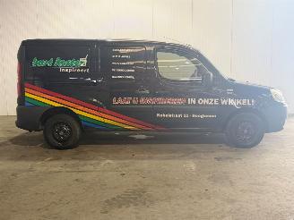 Fiat Doblo 1.9 MultiJet Basis Maxi picture 2