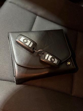 BMW 5-serie 520d Executive picture 17