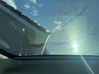 Renault Scenic Grand Scénic -  1.3 TCe Bose | 7p!! | Glazen dak! picture 34