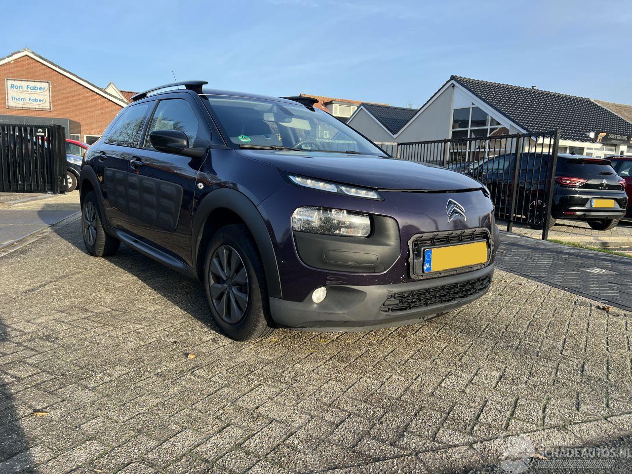 Citroën C4 cactus 1.6 BlueHDi Business